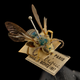 Dinagapostemon sicheli. “”Note the crenulated antennae and the fact that the specimen has largely retained its shape and color all these years. Many of these old specimens are still our reference points for taxonomy, distributions, and what things were like in the past.”
